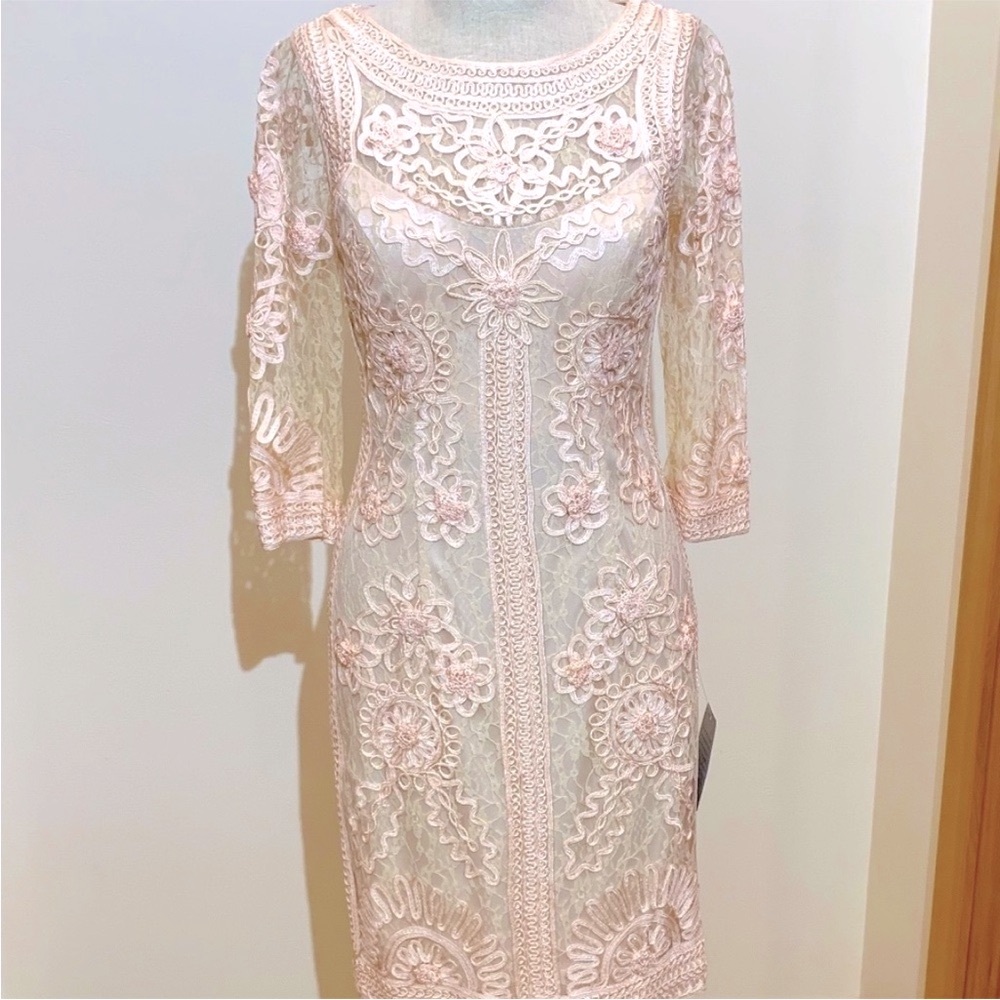 🎉Host Pick‼️ STUNNING NWT Sue Wong - "Blush" Soutache Sheath Dress  - size 4 ✨✨✨